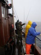 Wędkarstwo morskie - Kołobrzeg 2009
