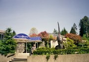 Akwarium Vancouver (1)