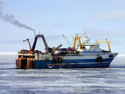 Morze Ochockie - zima 2000-01 (1)