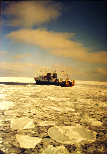 Morze Ochockie - 2001 - statek Dudiego