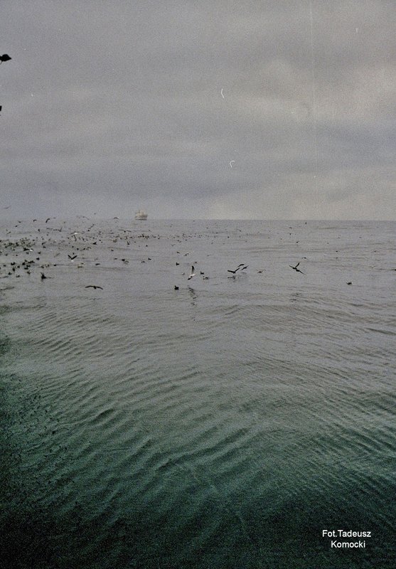 Morze Beringa - 1997